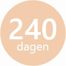 240 dagen