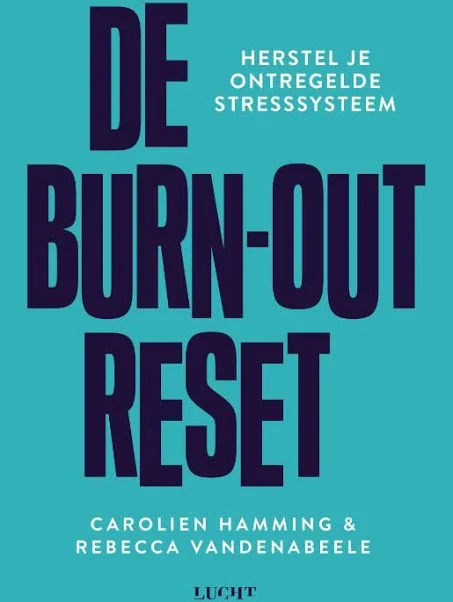 Omslag De burn-out reset
